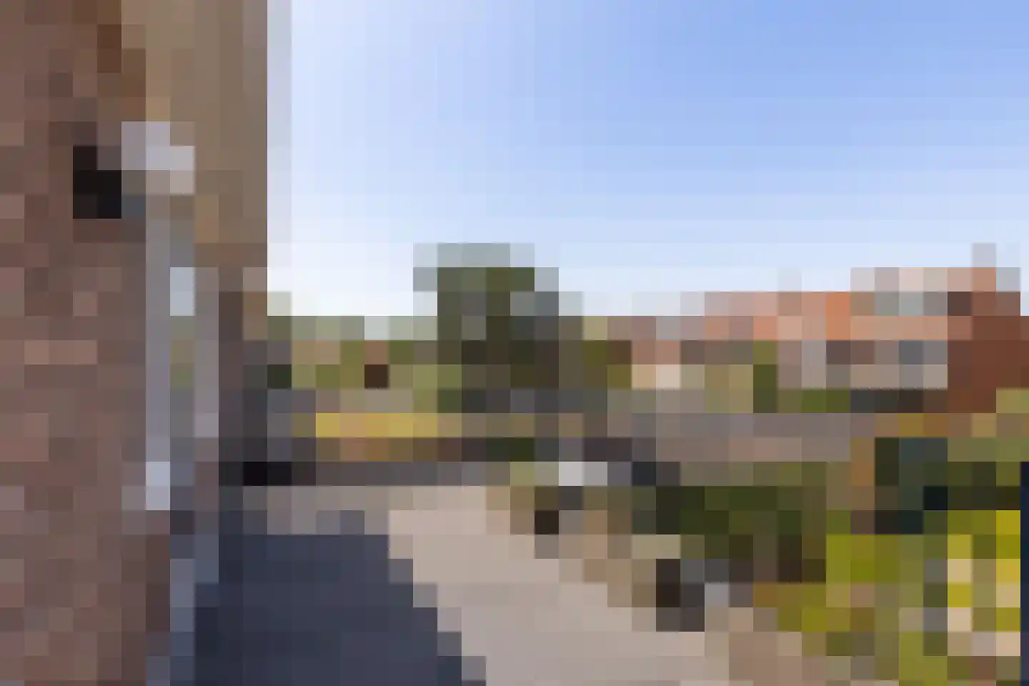 Professor Van der Waalsstraat 30 Haarlem thumbnail 21