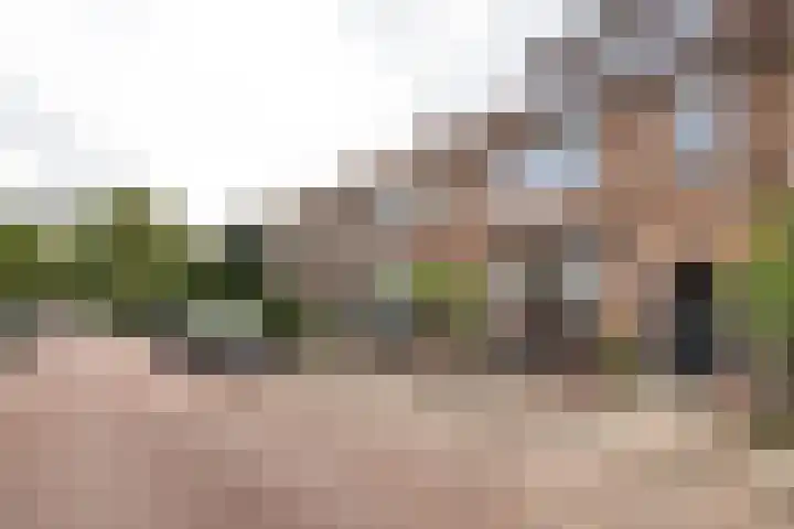 Professor Van der Waalsstraat 50 Haarlem thumbnail 34