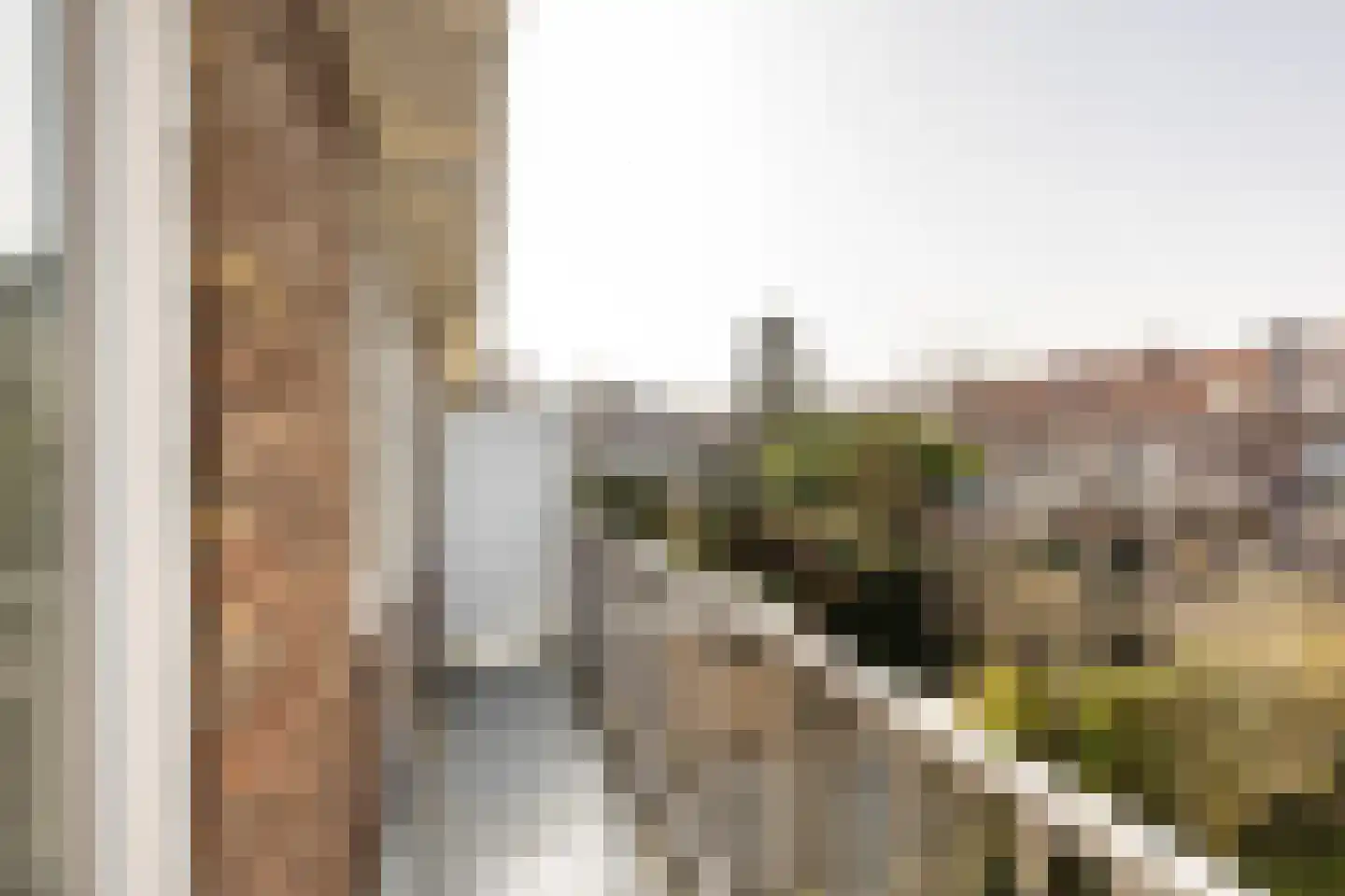 Professor Van der Waalsstraat 54 Haarlem thumbnail 22