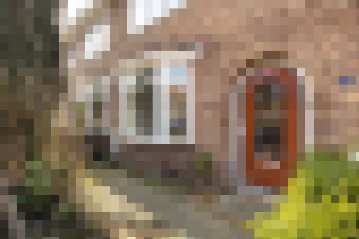 Professor Van der Waalsstraat 54 Haarlem thumbnail 30