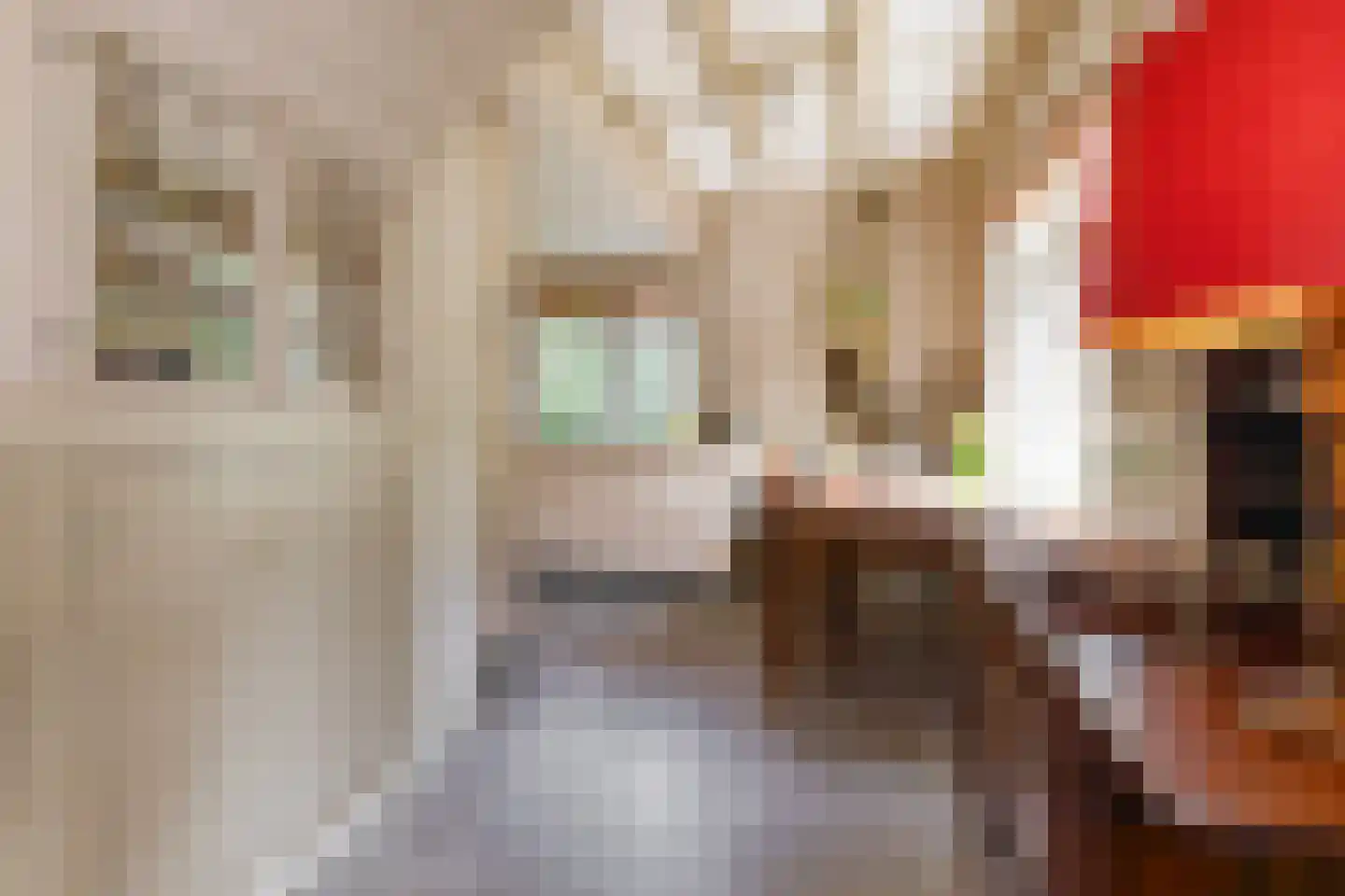 Professor van Reeslaan 11 Blaricum thumbnail 11