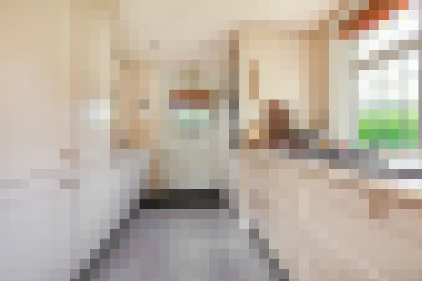 Professor van Reeslaan 11 Blaricum thumbnail 13