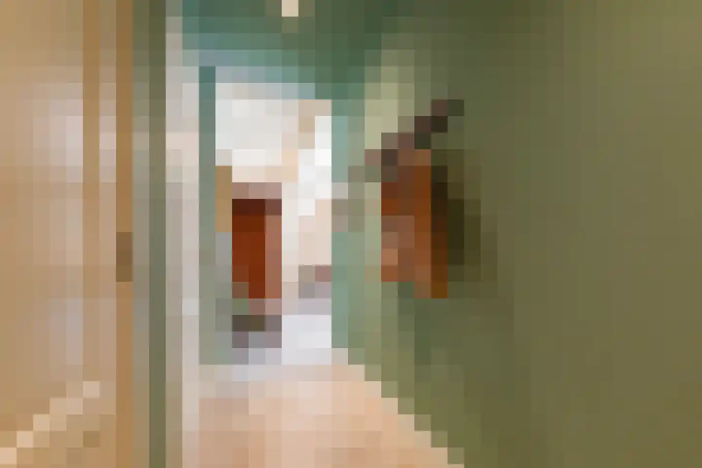 Professor van Reeslaan 11 Blaricum thumbnail 14