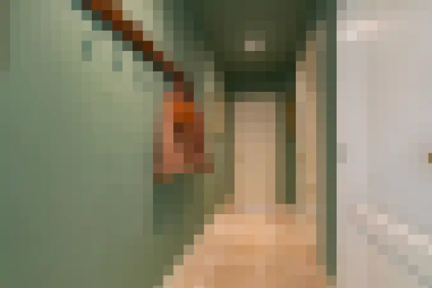 Professor van Reeslaan 11 Blaricum thumbnail 15