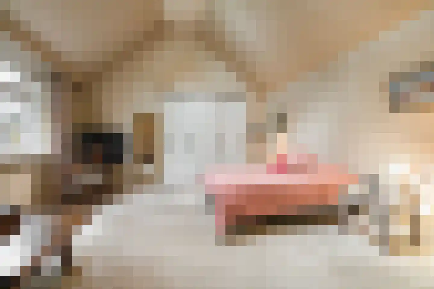 Professor van Reeslaan 11 Blaricum thumbnail 16
