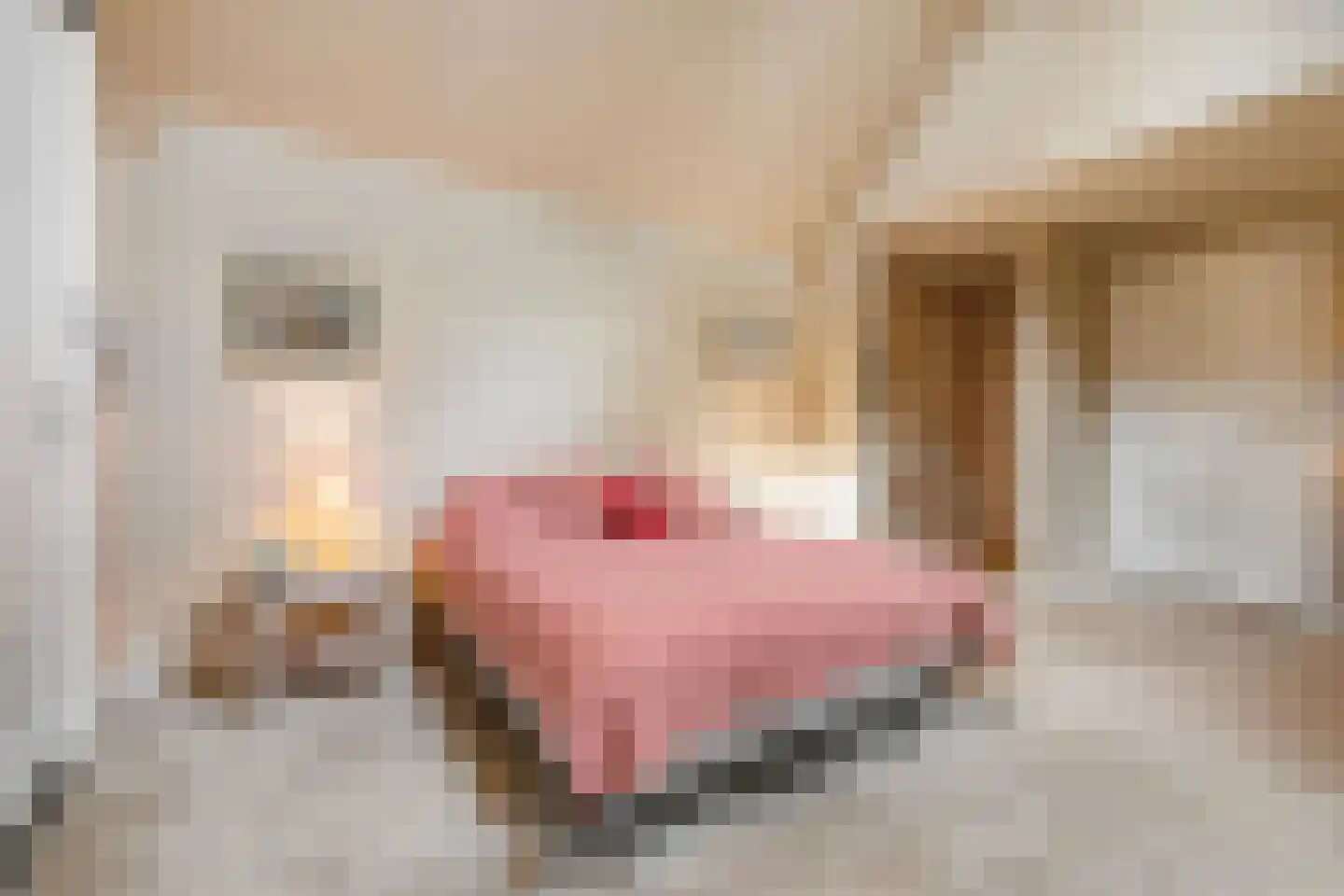 Professor van Reeslaan 11 Blaricum thumbnail 17