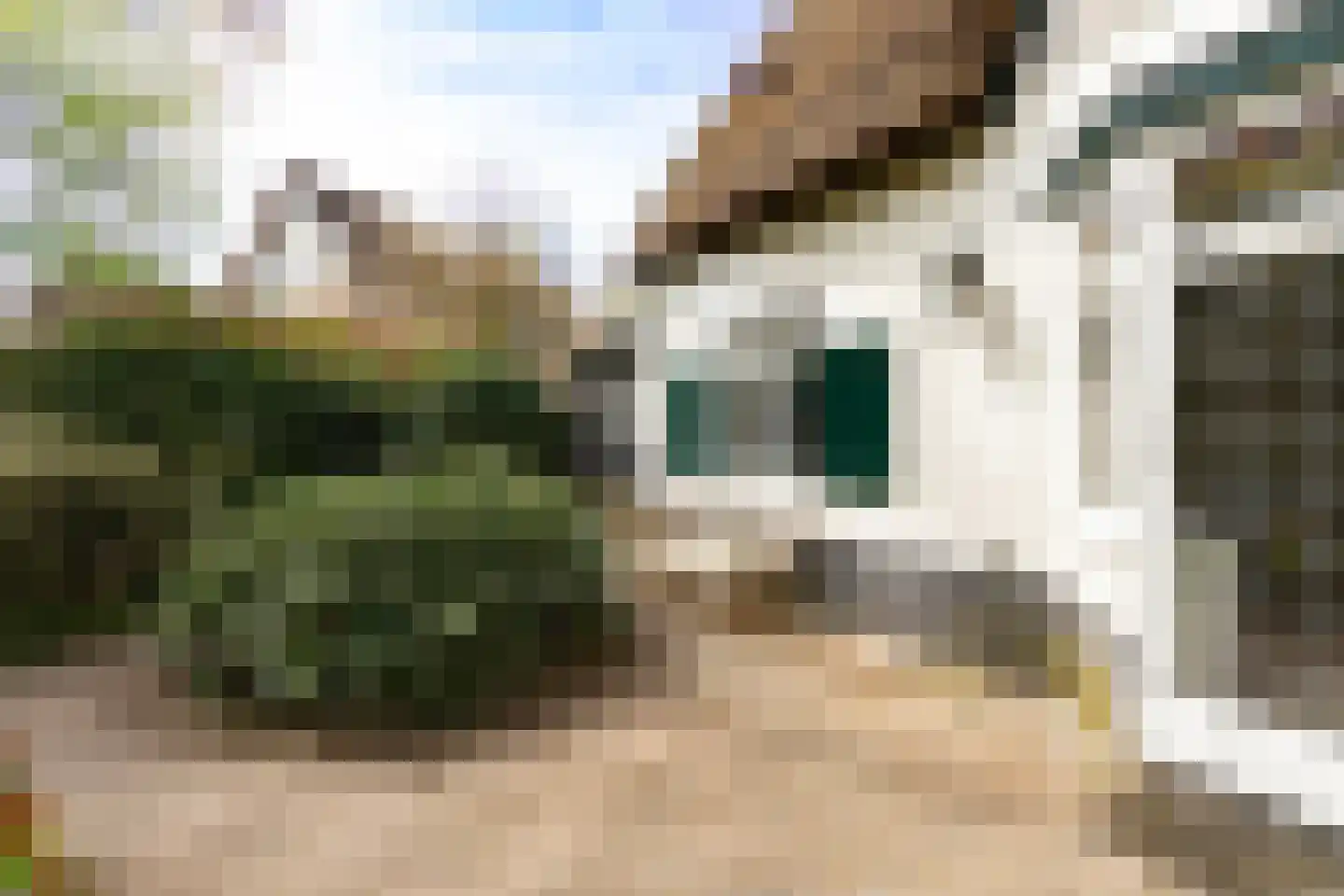 Professor van Reeslaan 11 Blaricum thumbnail 31