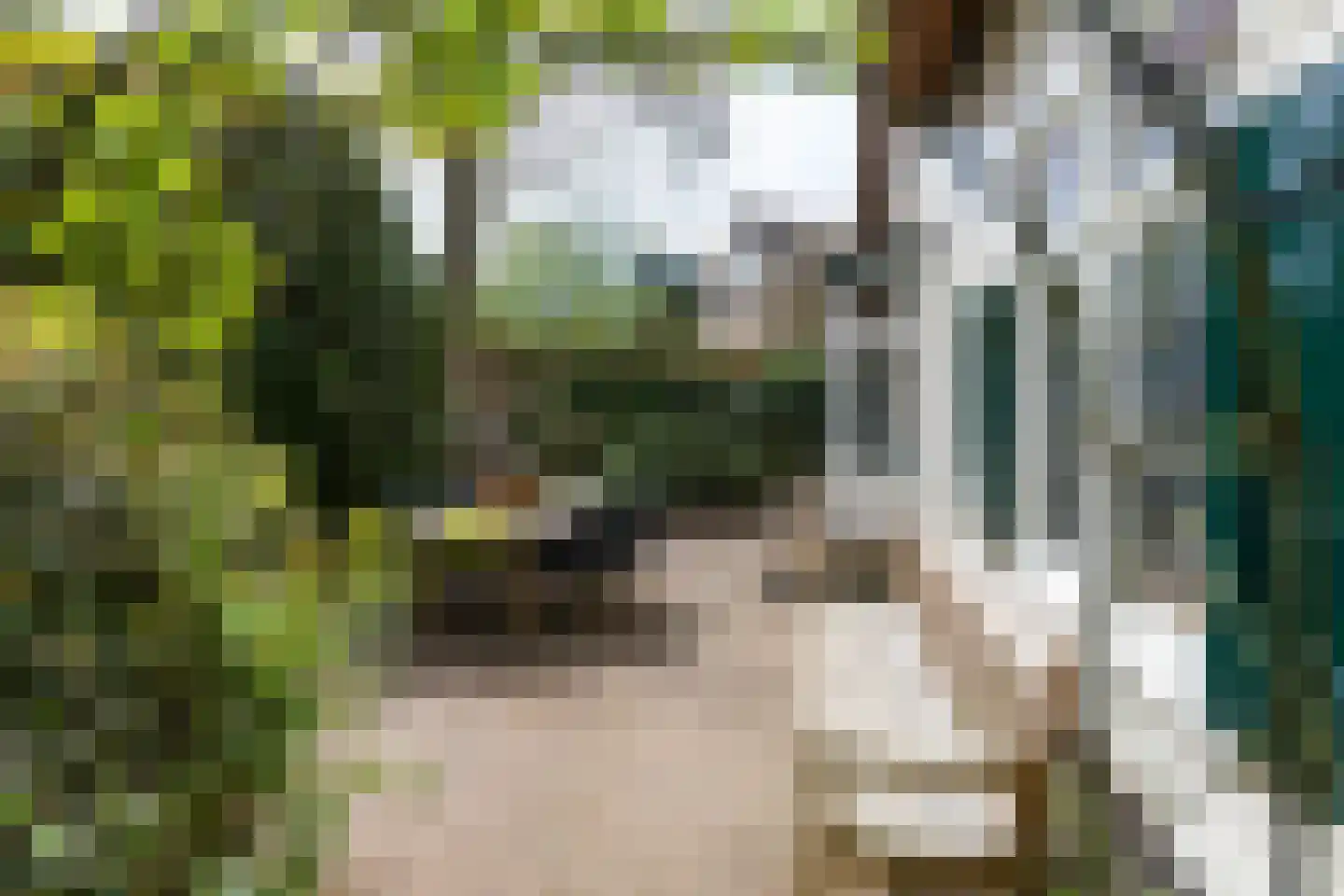 Professor van Reeslaan 11 Blaricum thumbnail 32
