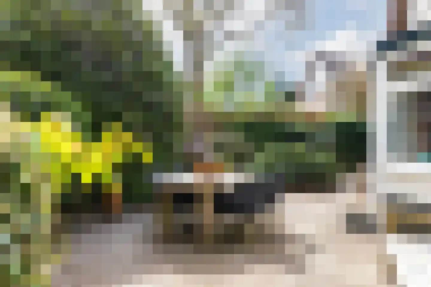 Professor van Reeslaan 11 Blaricum thumbnail 33