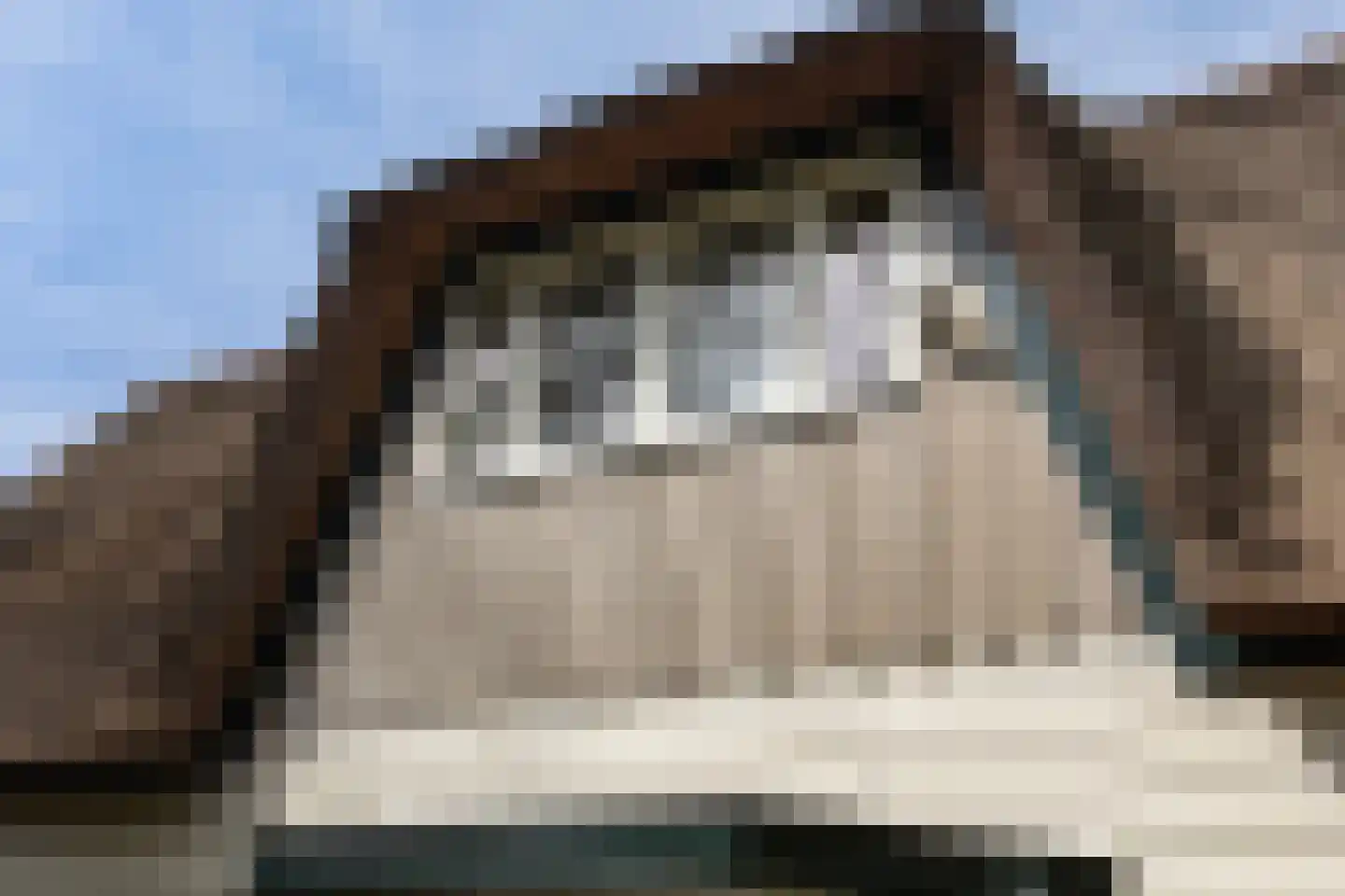 Professor van Reeslaan 11 Blaricum thumbnail 34