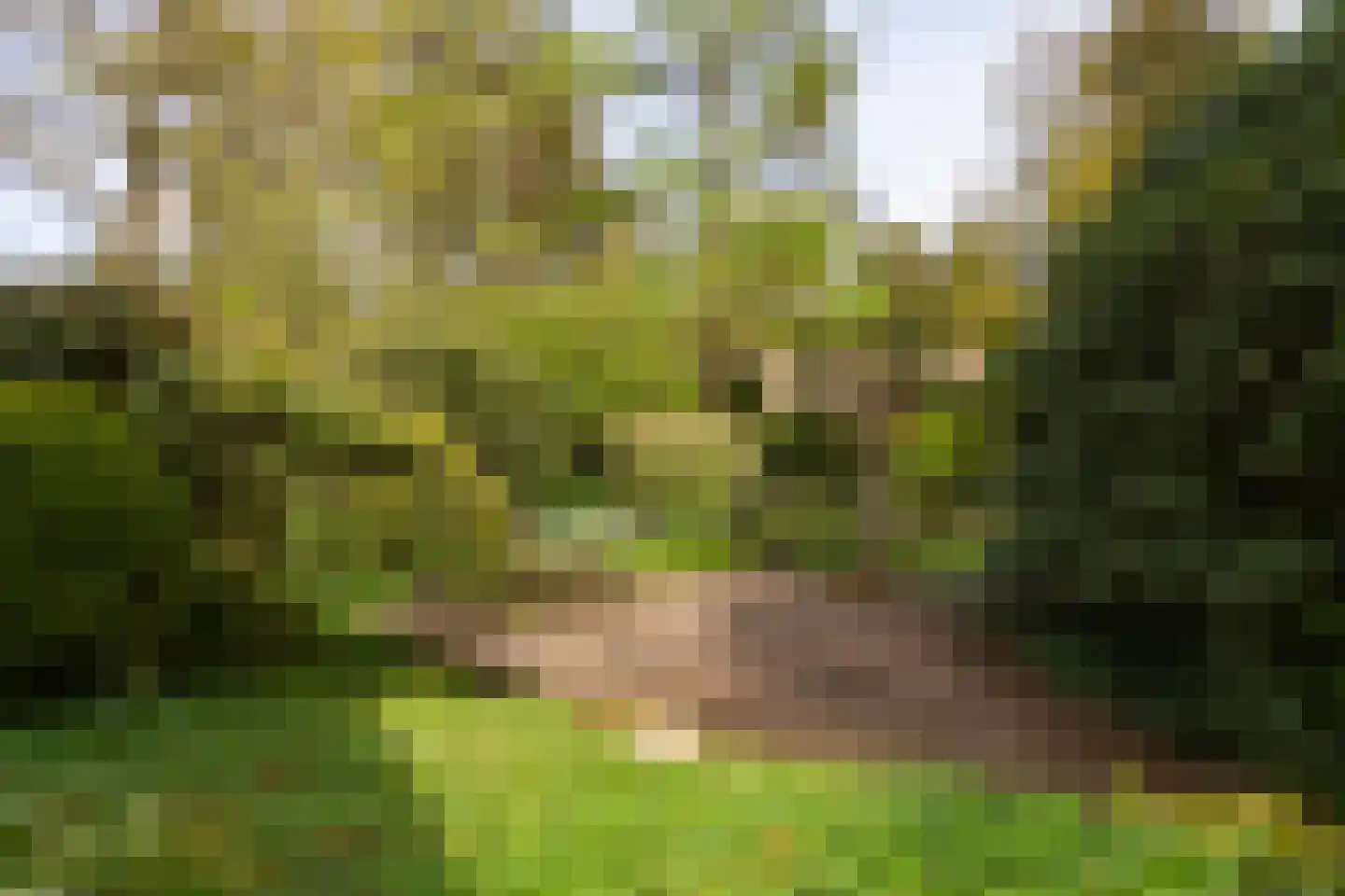 Professor van Reeslaan 11 Blaricum thumbnail 35