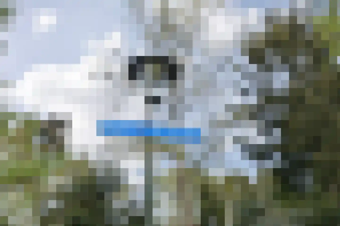 Professor van Reeslaan 11 Blaricum thumbnail 37