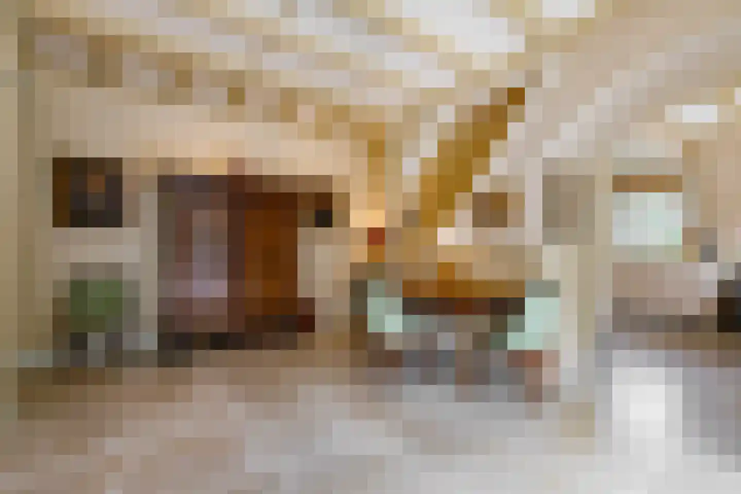 Professor van Reeslaan 11 Blaricum thumbnail 6