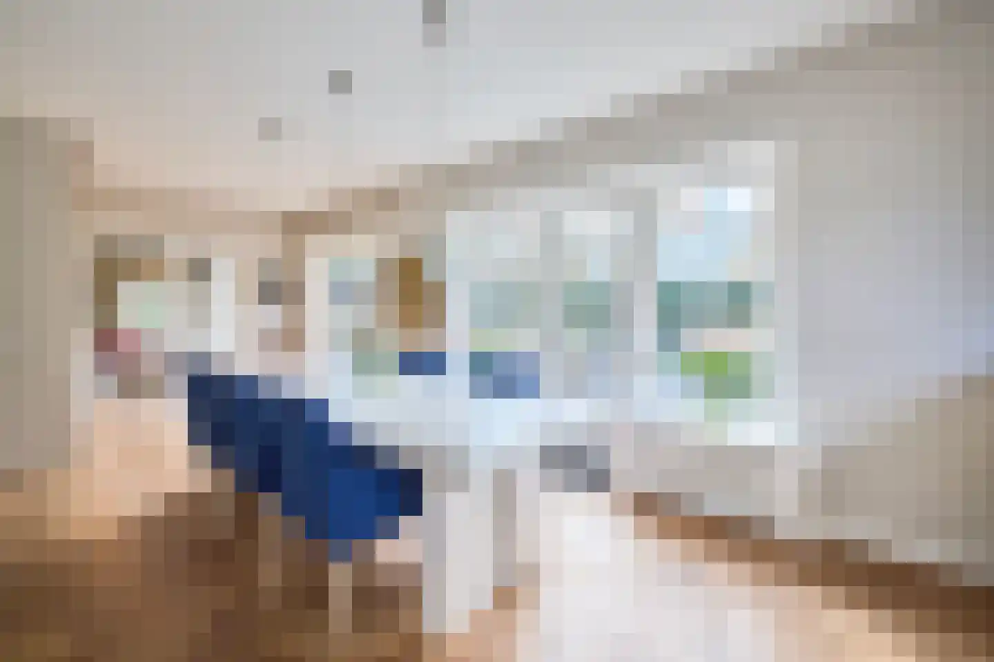 Professor van Reeslaan 26 a Blaricum thumbnail 14