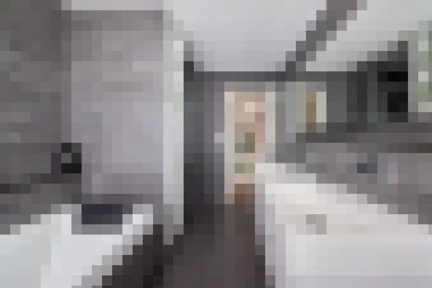 Professor van Reeslaan 26 a Blaricum thumbnail 20