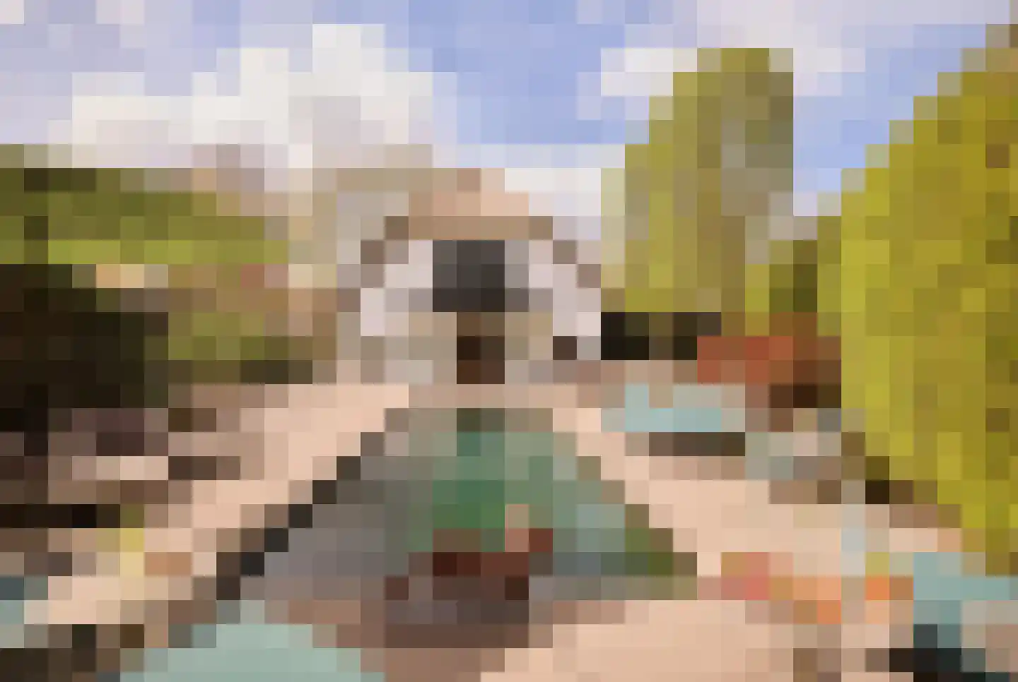 Professor van Reeslaan 26 a Blaricum thumbnail 32