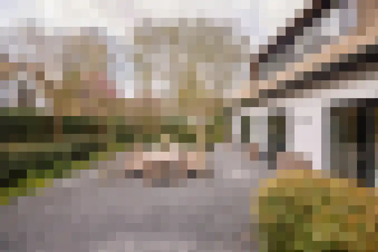 Professor van Reeslaan 26 a Blaricum thumbnail 37