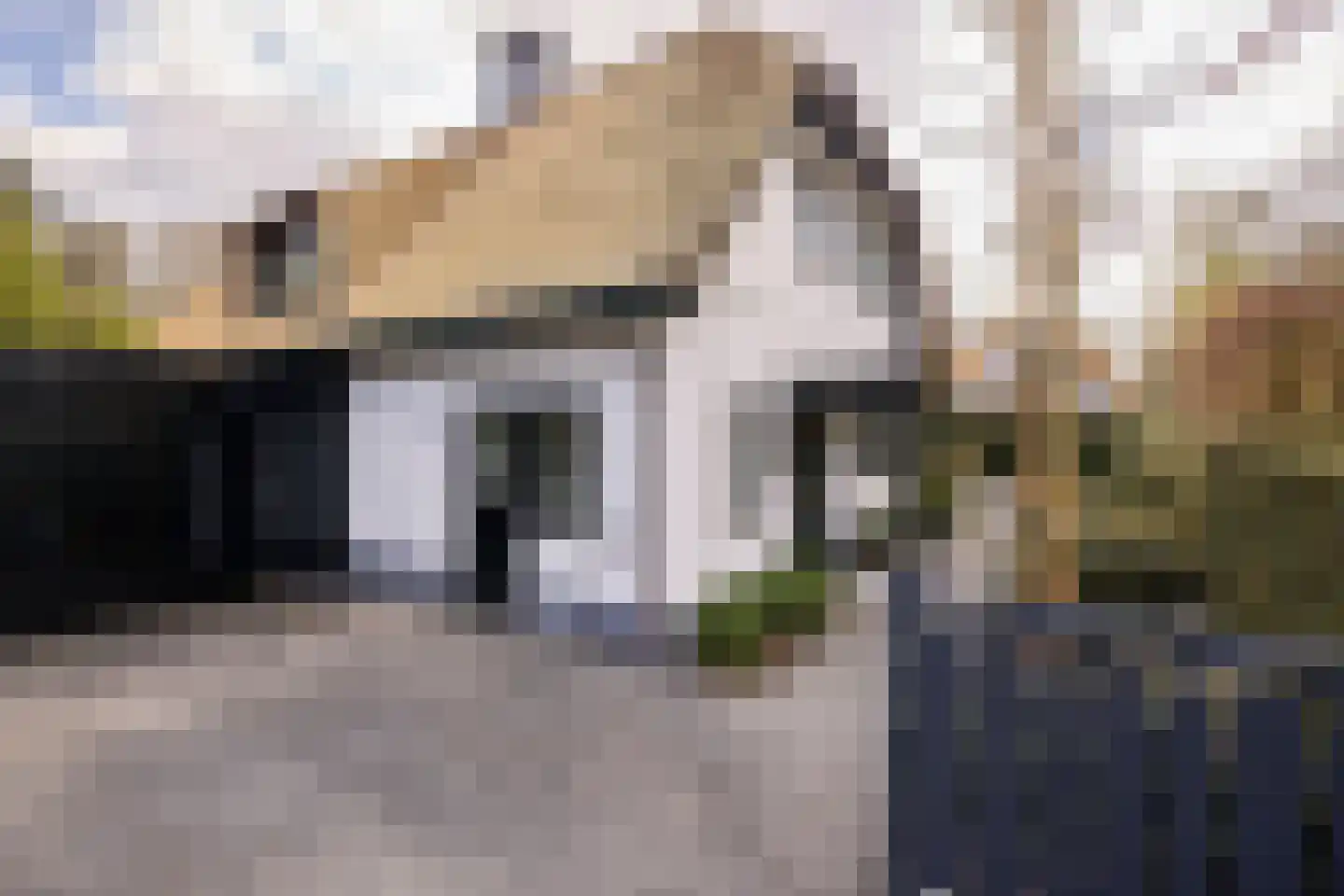Professor van Reeslaan 26 a Blaricum thumbnail 39