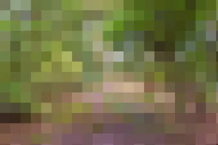 Professor van Reeslaan 3 Blaricum thumbnail 10