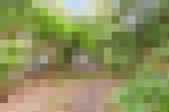 Professor van Reeslaan 3 Blaricum thumbnail 11