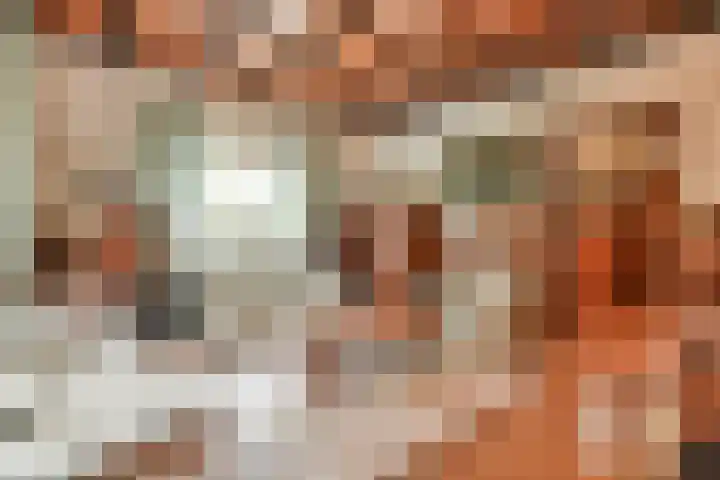 Professor van Reeslaan 3 Blaricum thumbnail 13