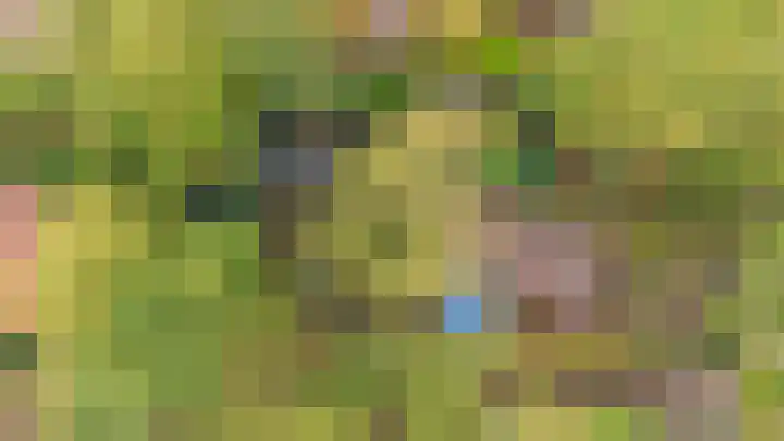 Professor van Reeslaan 3 Blaricum thumbnail 4