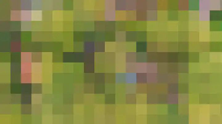 Professor van Reeslaan 3 Blaricum thumbnail 6