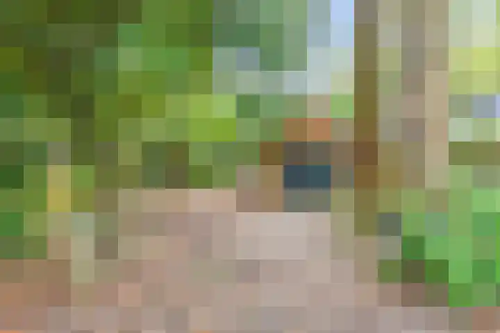 Professor van Reeslaan 3 Blaricum thumbnail 7