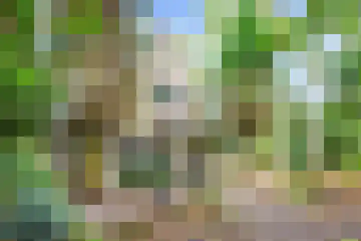 Professor van Reeslaan 3 Blaricum thumbnail 9