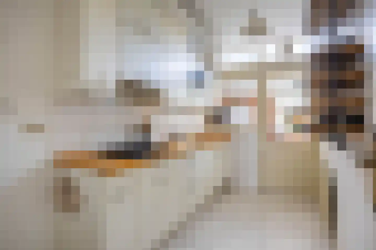 Professor van Swindenstraat 14 Franeker thumbnail 19
