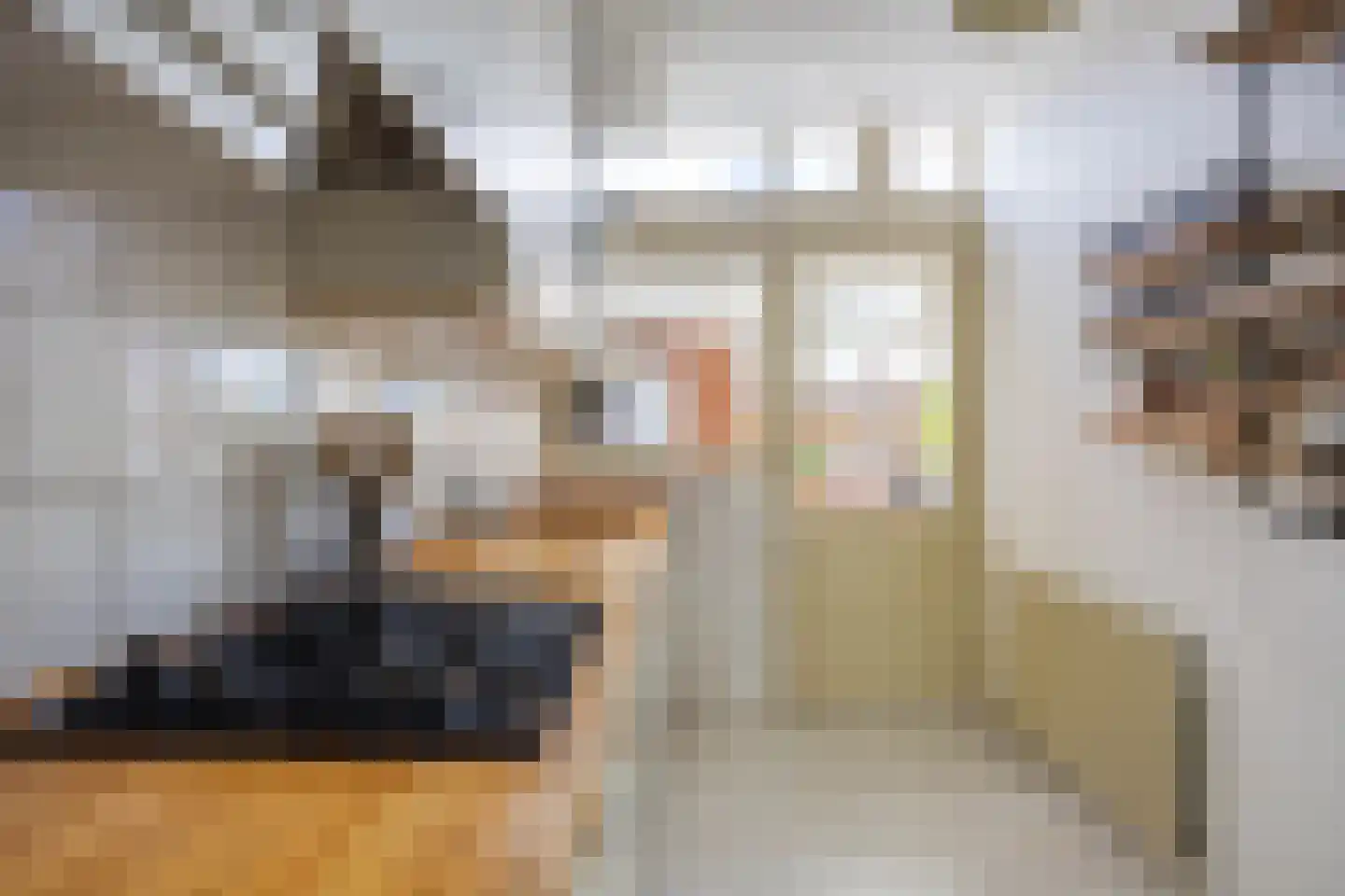 Professor van Swindenstraat 14 Franeker thumbnail 20