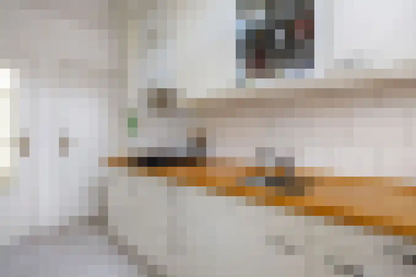 Professor van Swindenstraat 14 Franeker thumbnail 21