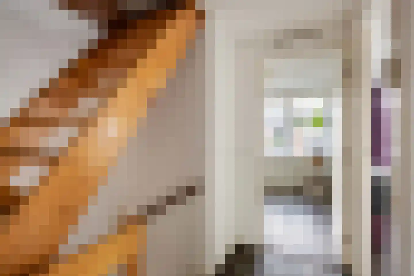 Professor van Swindenstraat 14 Franeker thumbnail 32