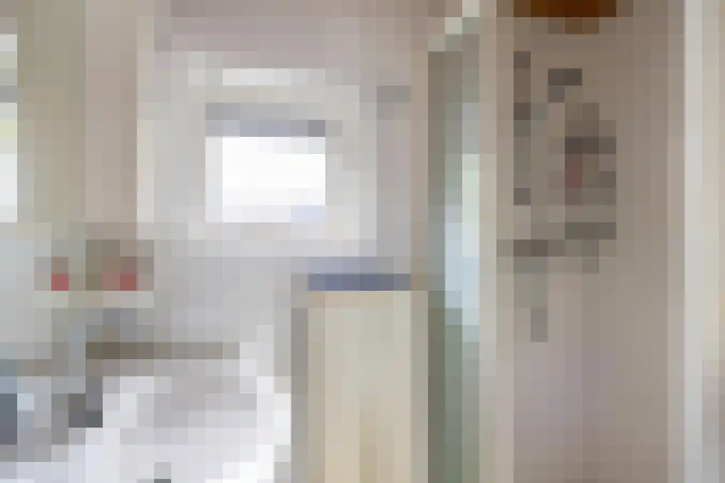 Professor van Swindenstraat 14 Franeker thumbnail 37