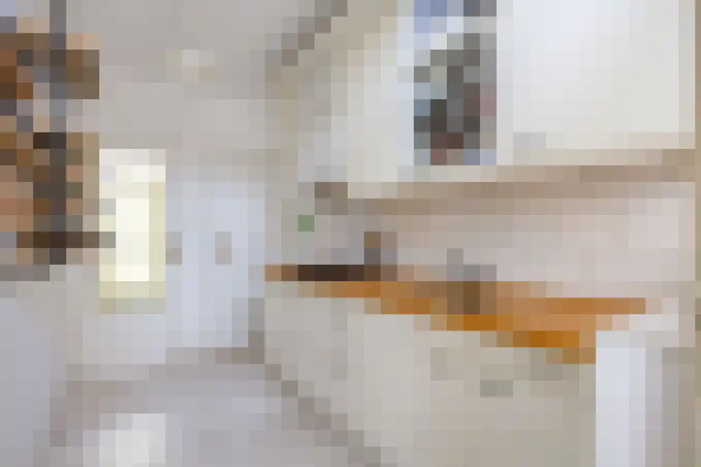 Professor van Swindenstraat 14 Franeker thumbnail 4
