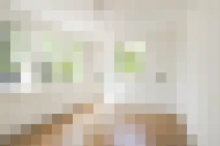 Professor van Swindenstraat 16 Franeker thumbnail 10