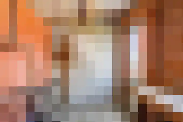 Professor van Swindenstraat 16 Franeker thumbnail 17