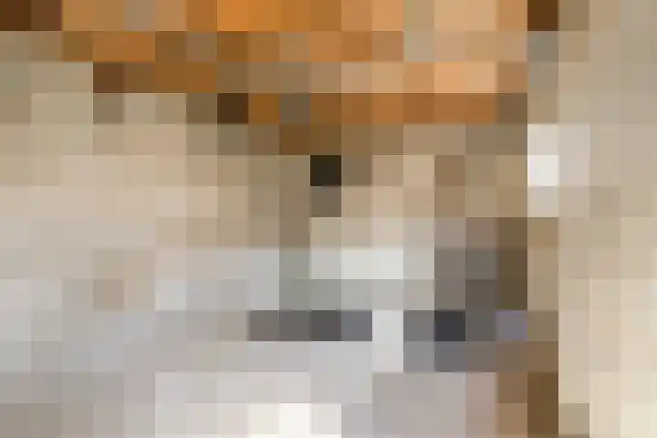 Professor van Swindenstraat 16 Franeker thumbnail 18