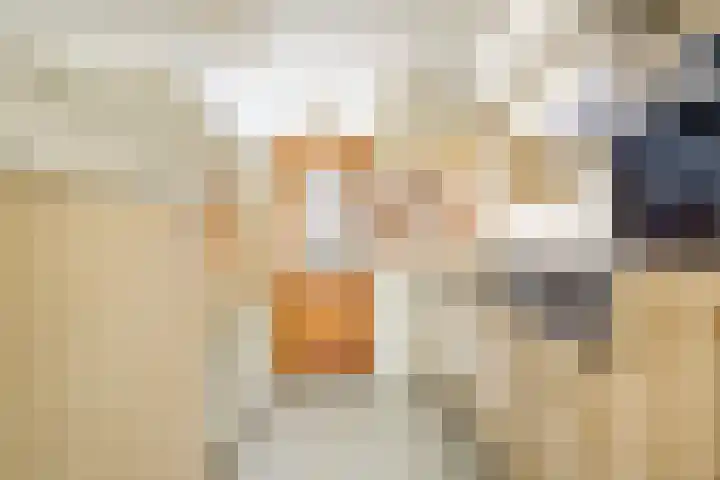 Professor van Swindenstraat 16 Franeker thumbnail 6