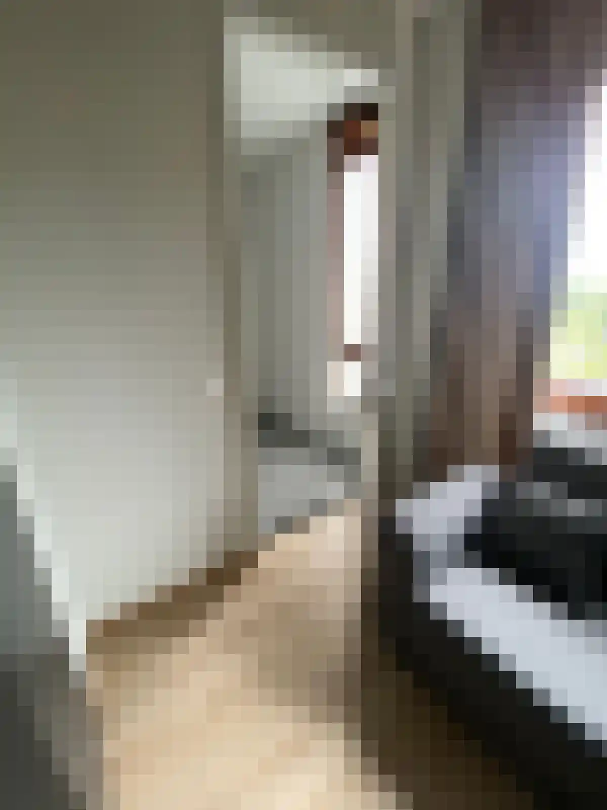 Professor Verbernelaan 35 Tilburg thumbnail 5