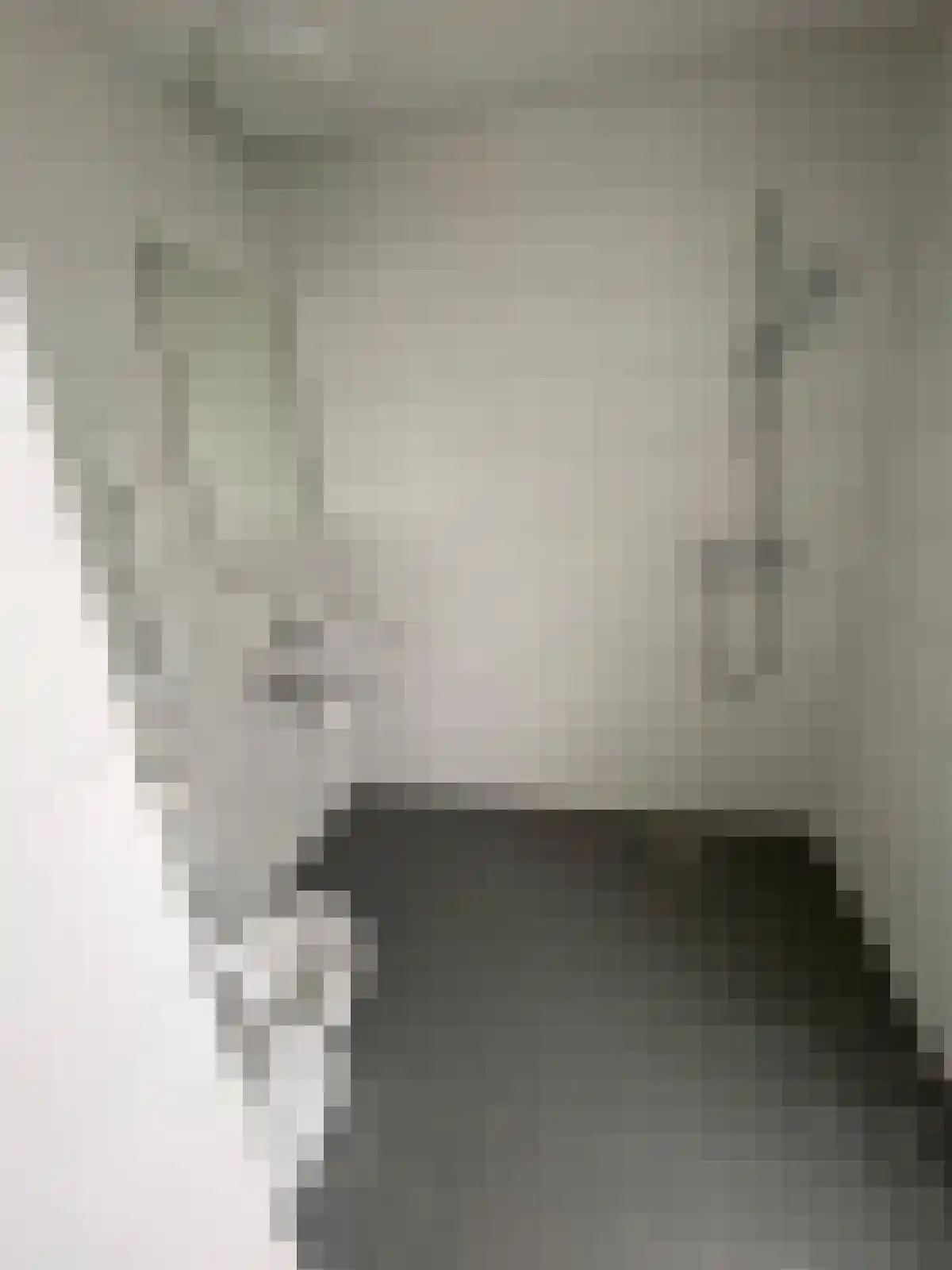 Professor Verbernelaan 35 Tilburg thumbnail 6