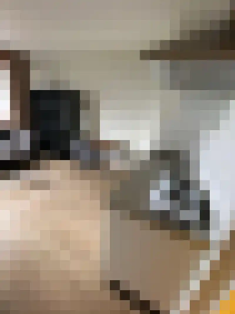Professor Verbernelaan 35 Tilburg thumbnail 8