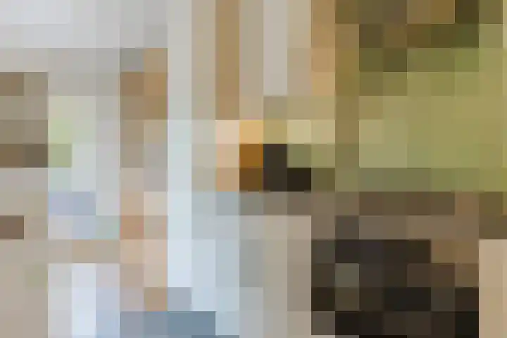 Professor Verbernelaan 55 Tilburg thumbnail 10