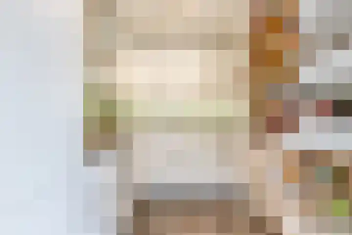 Professor Verbernelaan 55 Tilburg thumbnail 11