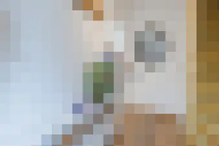 Professor Verbernelaan 55 Tilburg thumbnail 12