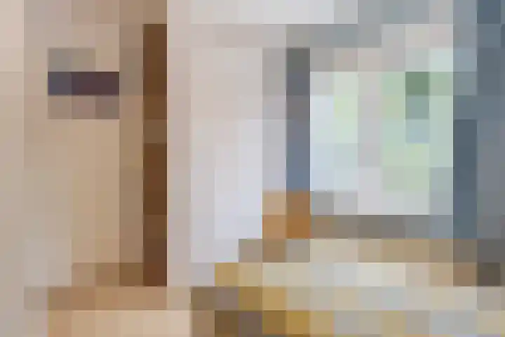 Professor Verbernelaan 55 Tilburg thumbnail 16