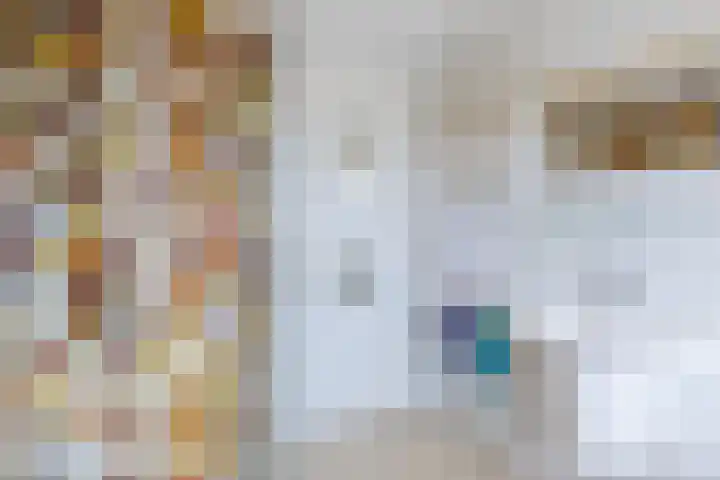 Professor Verbernelaan 55 Tilburg thumbnail 20