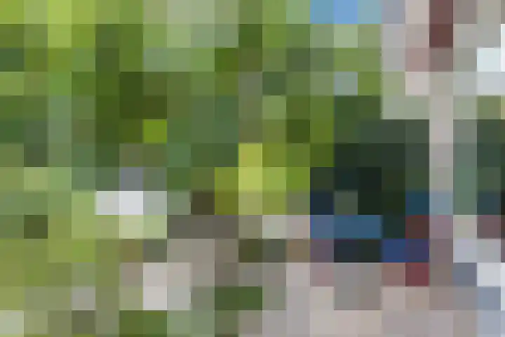 Professor Verbernelaan 55 Tilburg thumbnail 28