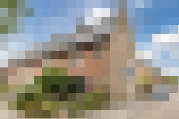 Professor Verbernelaan 55 Tilburg thumbnail 32