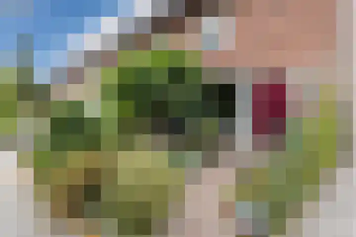 Professor Verbernelaan 55 Tilburg thumbnail 33
